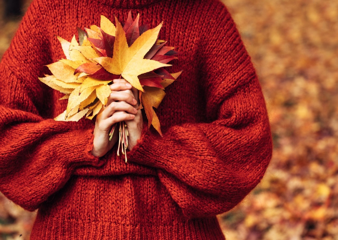 L'énergie de l'automne amène une puissance vitale propice à recueillir les bénéfices de l'été. Temps de récolte, elle est aussi une saison où le temps devient plus "rigoureux".
L'être humain va recevoir cette influence, ce qui va avoir tendance à "appuyer" certaines tendances psychologiques...
Découvrez lesquelles et comment prévenir un excès de rigueur !