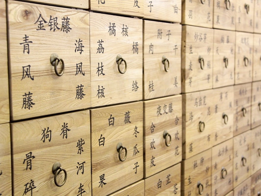"Un homme averti en vaut deux" dit le diction populaire ! Connaitre ce qui nous fragilise permet donc de se prémunir plus facilement. Découvrez les causes principales de la maladie vue par la médecine chinoise.