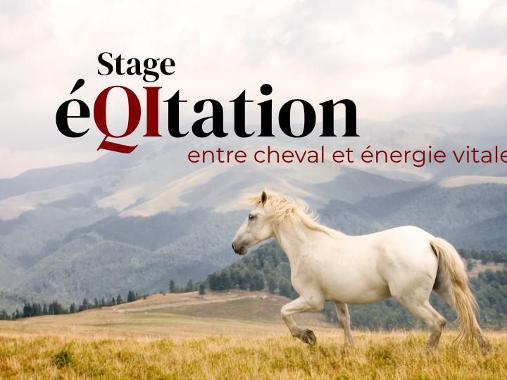 Stages "éQItation"