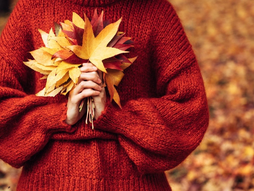 L'énergie de l'automne amène une puissance vitale propice à recueillir les bénéfices de l'été. Temps de récolte, elle est aussi une saison où le temps devient plus "rigoureux".
L'être humain va recevoir cette influence, ce qui va avoir tendance à "appuyer" certaines tendances psychologiques...
Découvrez lesquelles et comment prévenir un excès de rigueur !